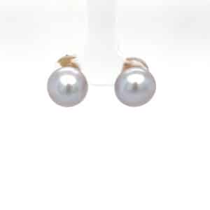 9ct yellow gold grey button fresh water pearl studs